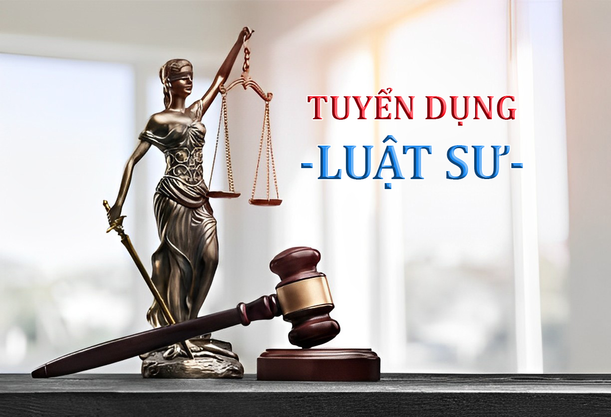 lĩnh vực hoạt động